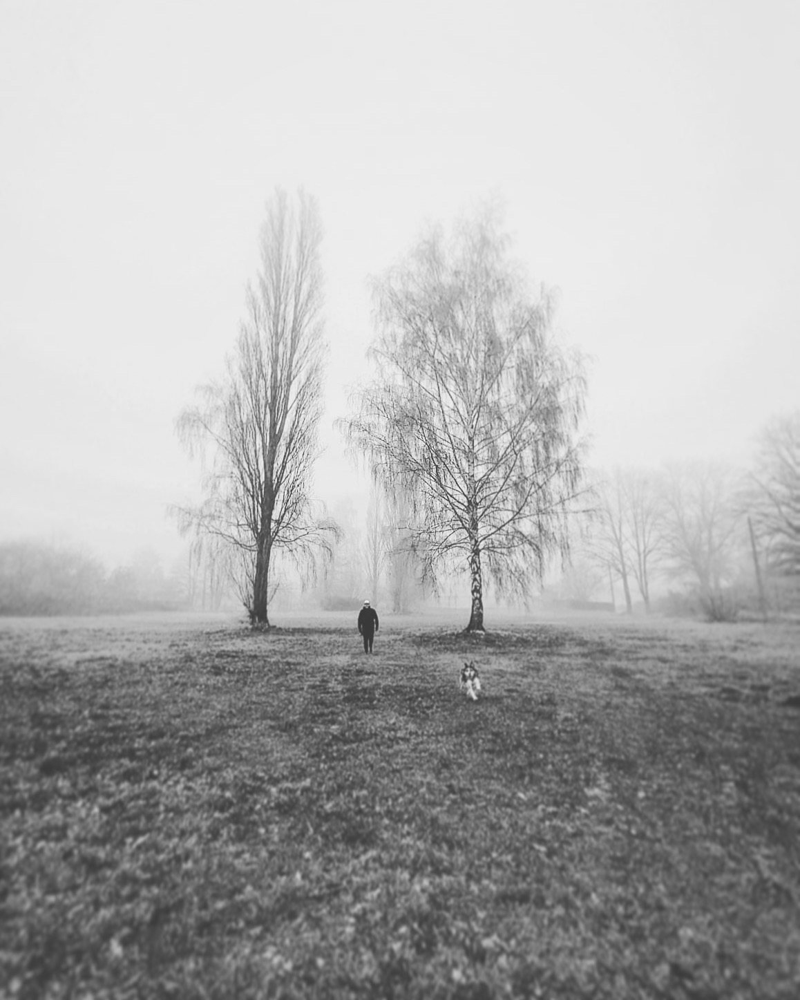 Walking with Sia on a misty morning